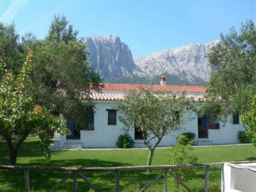 agriturismo in sardinie - Guthiddai in Oliena (19)